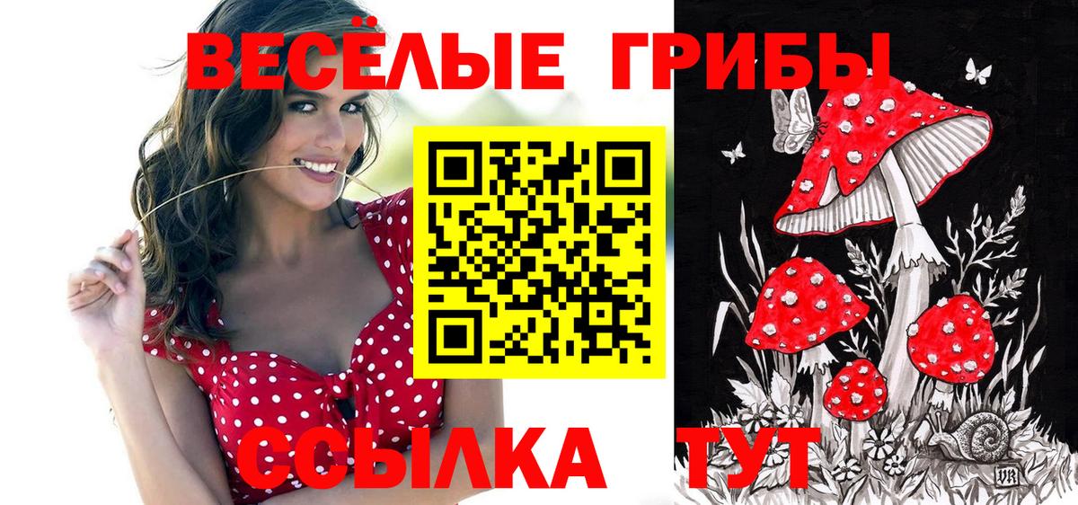 Кимры  Псилоцибиновые грибы Cubensis  Галлюциногенные грибы мухоморы  Вход с VPN 